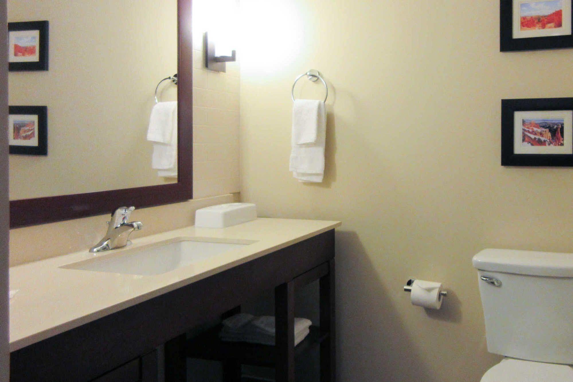 Comfort Suites St George - University Area St. George Eksteriør billede